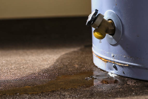 Best Water damage repair service  in Bartonville, TX
