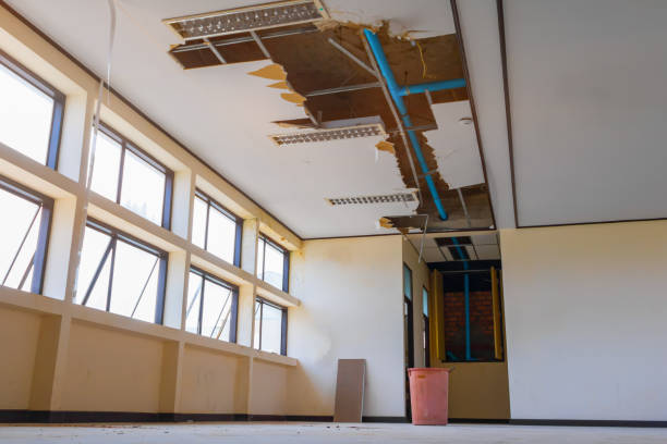 Best Carpet water damage restoration  in Bartonville, TX