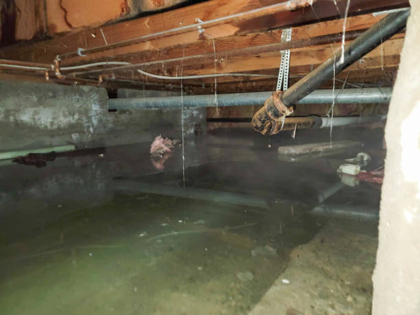Best Commercial water damage restoration  in Bartonville, TX