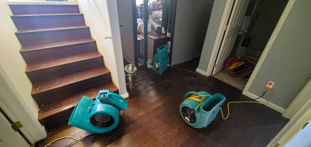 Best 24/7 water damage repair  in Bartonville, TX