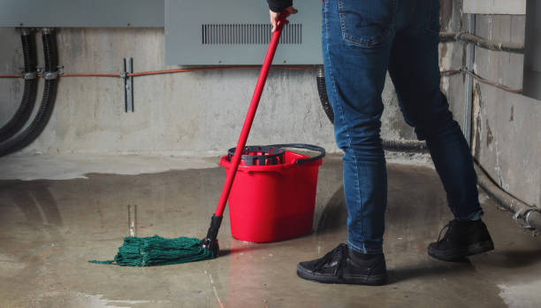 Best Basement water damage restoration  in Bartonville, TX