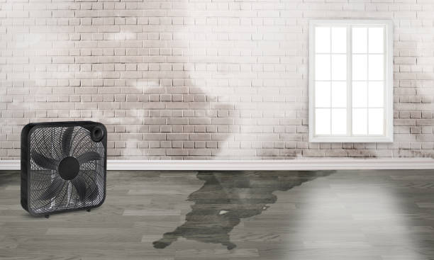 Best Emergency water damage restoration  in Bartonville, TX