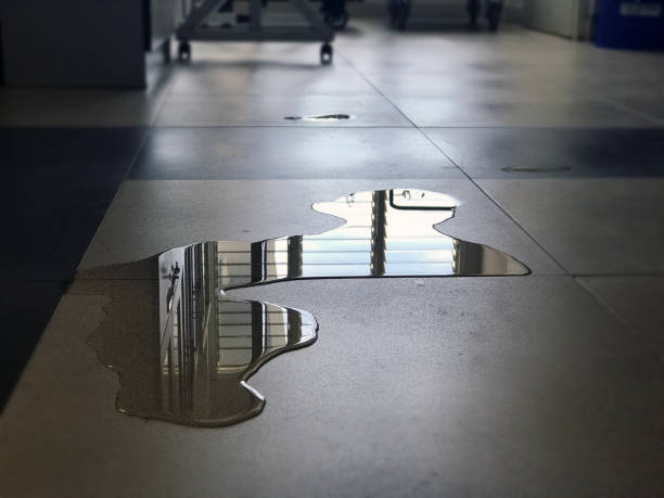 Best Water damage contractors near me  in Bartonville, TX