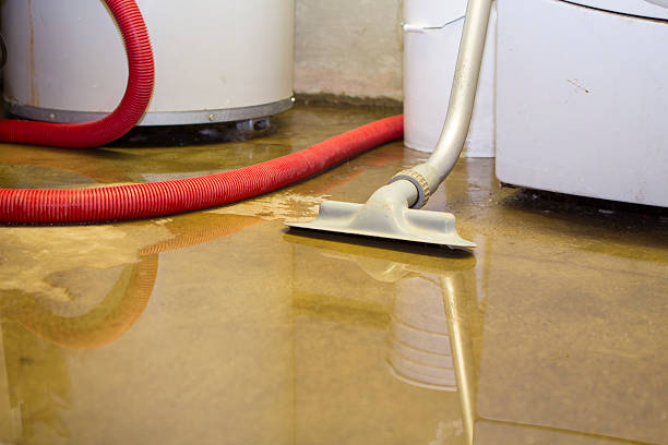 Best Sewage cleanup and water damage restoration  in Bartonville, TX