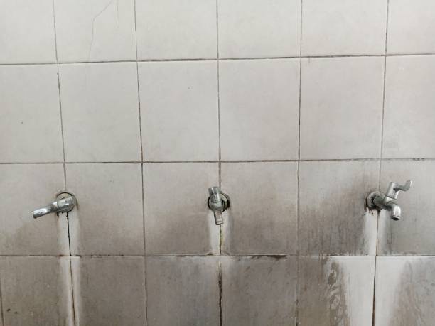Best Water damage mitigation services  in Bartonville, TX